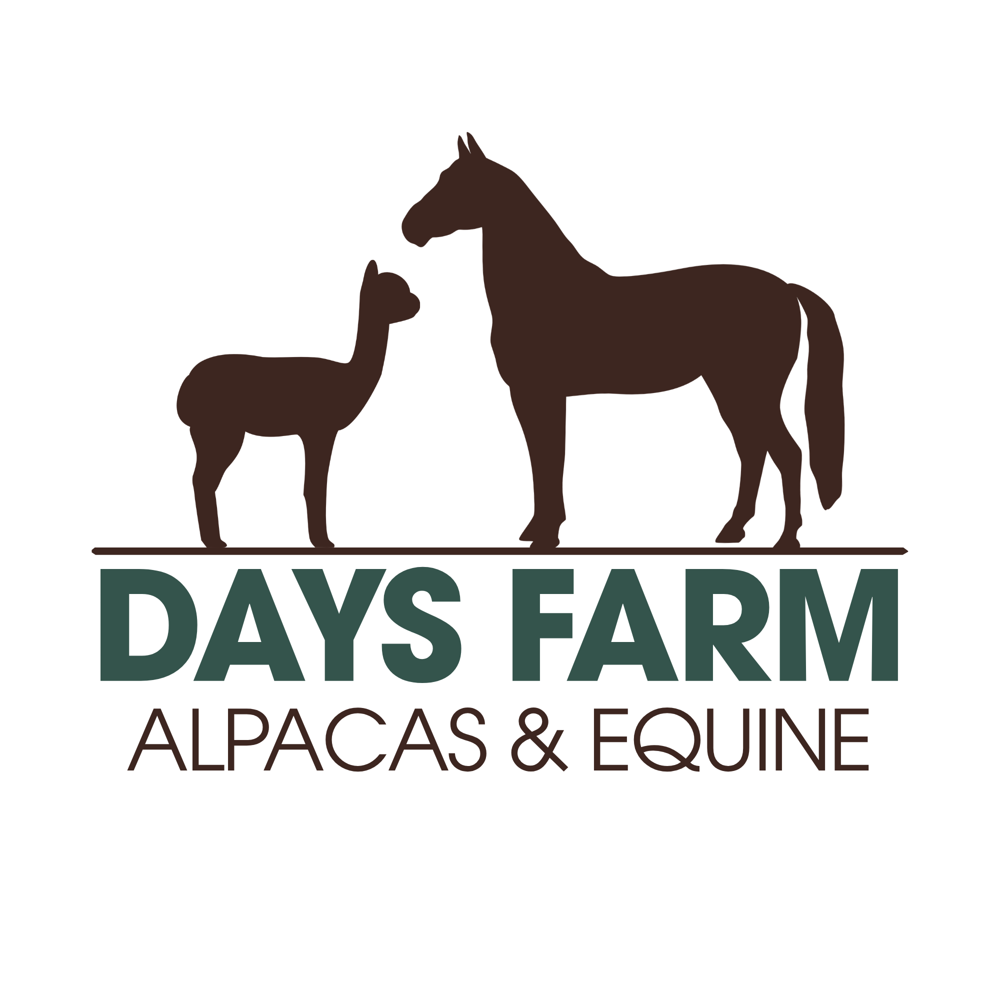 Days Farm Alpacas & Equine
